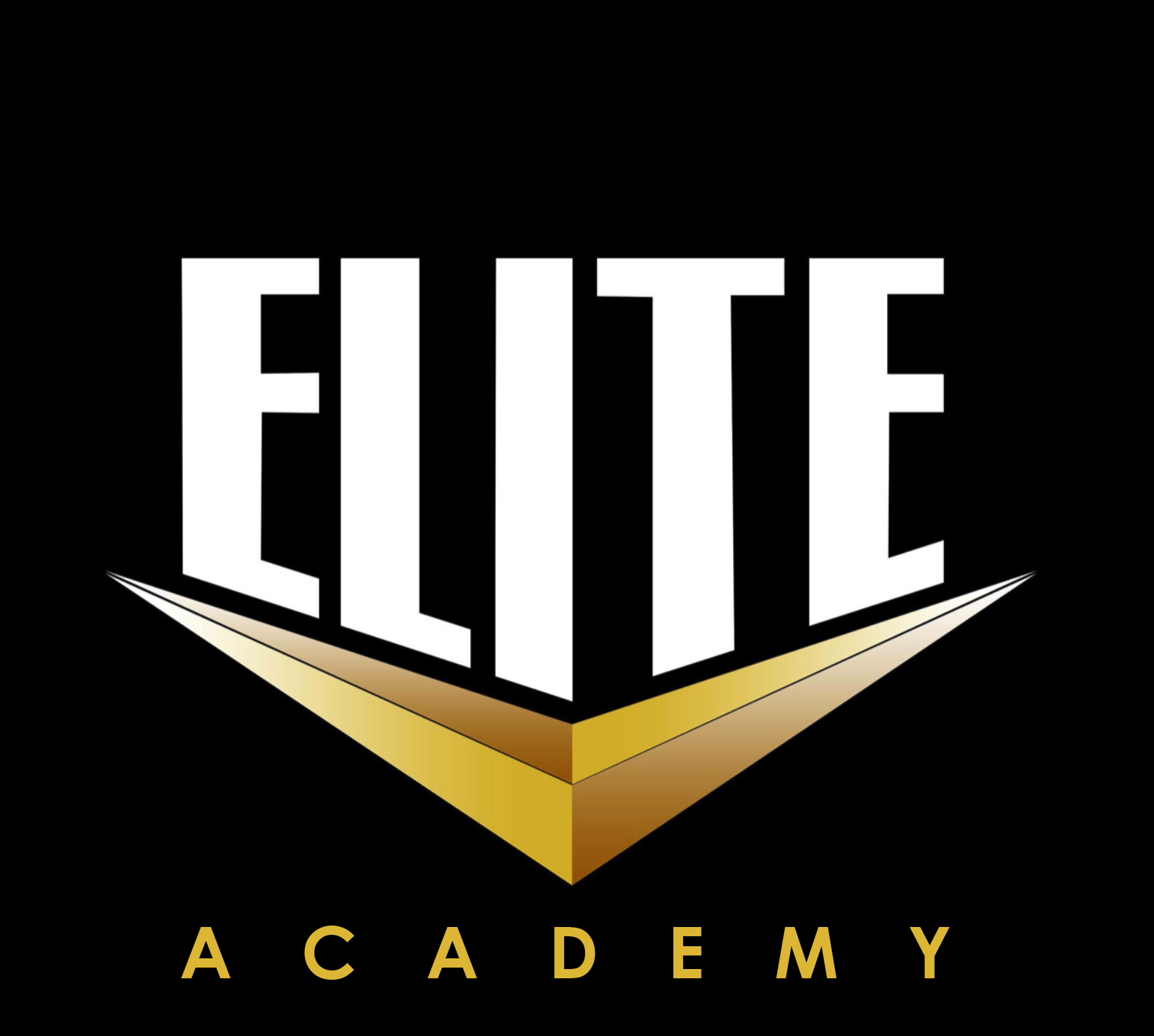 Elite Academy of Security Training Limited Logo
